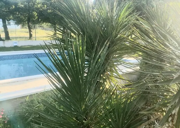 Appartement Kaja House