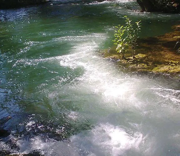 公寓 卡娅之家公寓 *